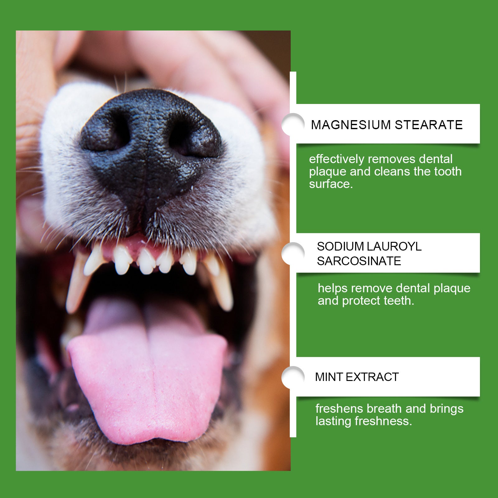 Dog Teeth Cleaning Powder with Measuring Spoon