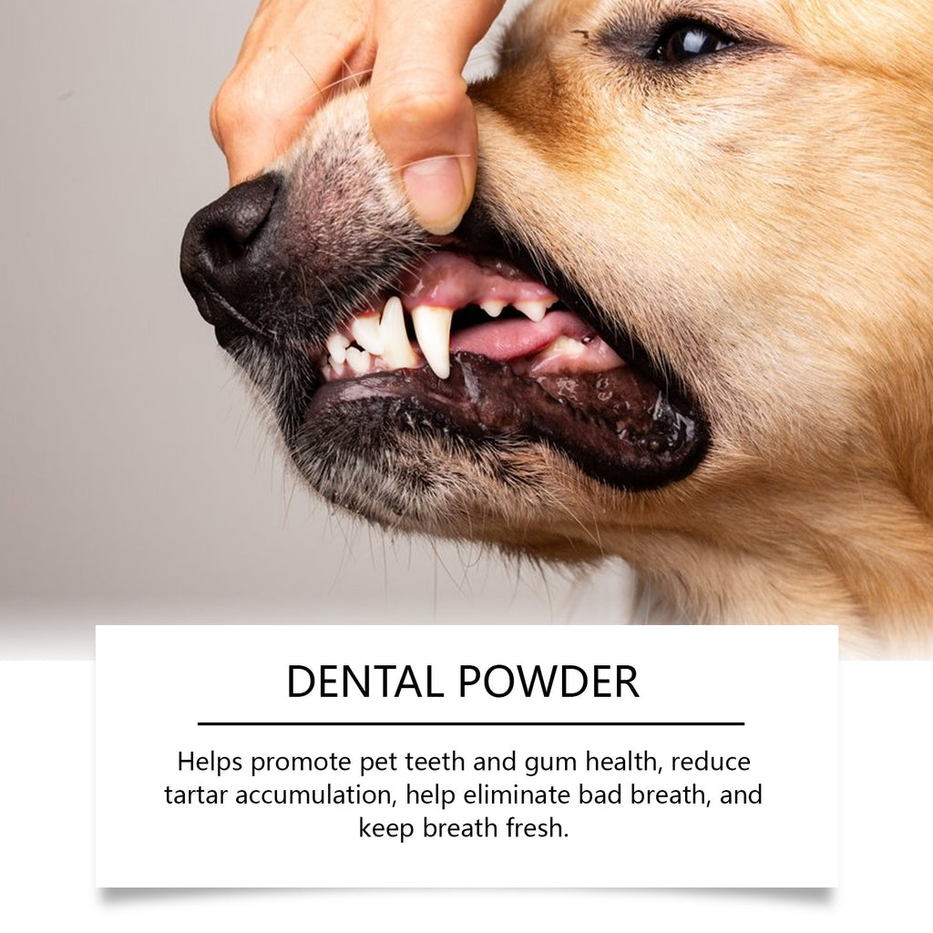 Dog Teeth Cleaning Powder with Measuring Spoon